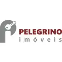 Aliandra Moraes Pelegrino - Me