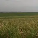 Rezende Imóveis
