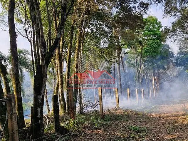Imagem: Terreno 12.000M com Córrego! Balsa Nova/Itambé