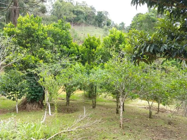 Imagem 4: Chácara Itaiacoca