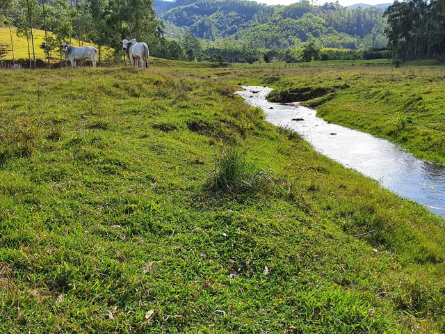Imagem: Terreno a Venda em Tijucas Bairro Campo