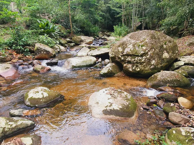Imagem 3: Sitio com Rio a Venda em Canelinha