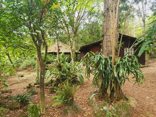 Imagem 4: Sitio com Rio a Venda em Canelinha