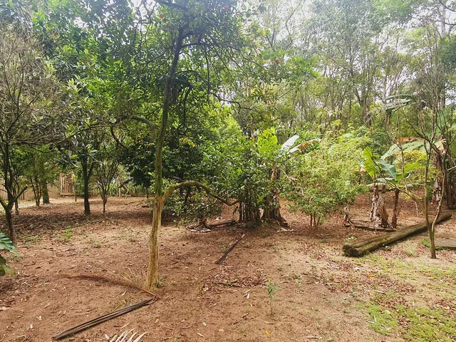 Imagem 8: Sitio com Rio a Venda em Canelinha