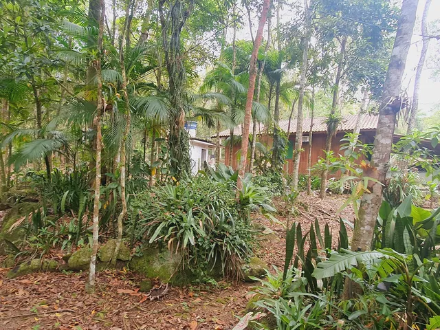 Imagem 11: Sitio com Rio a Venda em Canelinha