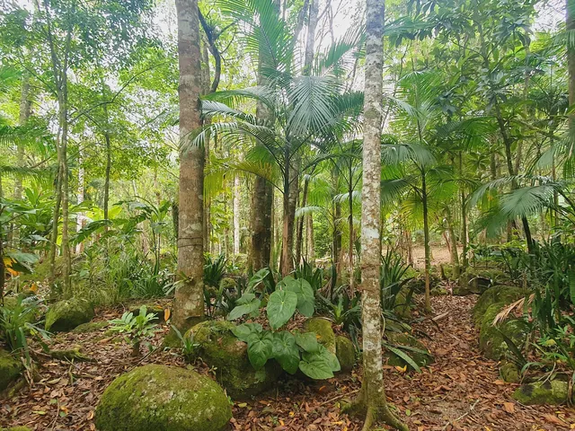 Imagem 12: Sitio com Rio a Venda em Canelinha