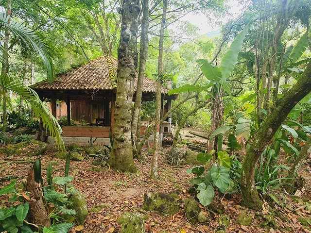 Imagem 13: Sitio com Rio a Venda em Canelinha