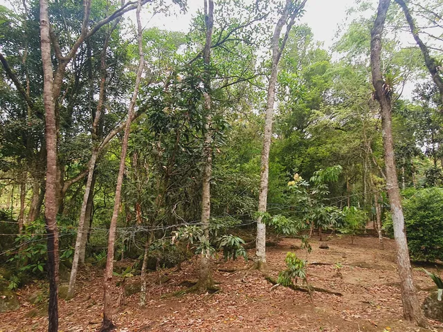 Imagem 15: Sitio com Rio a Venda em Canelinha