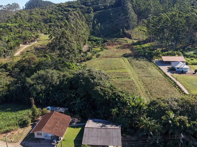Imagem: Sítio Venda em Tijucas com Rio, Pomar