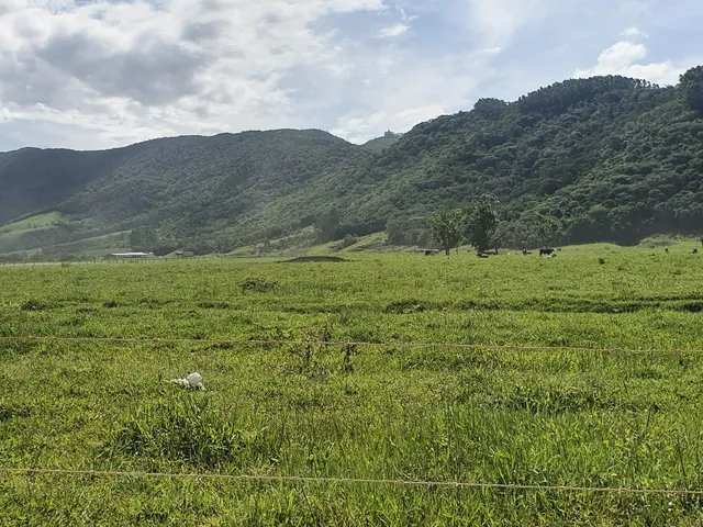 Imagem: Terreno com Pastagem, Rio, e Nascente a