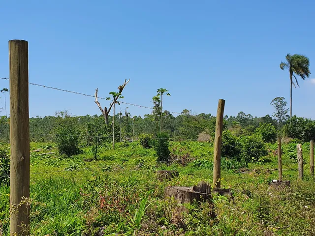 Imagem 2: Terreno Industrial Próximo a Br-101 a Venda em Araquari e Joinville