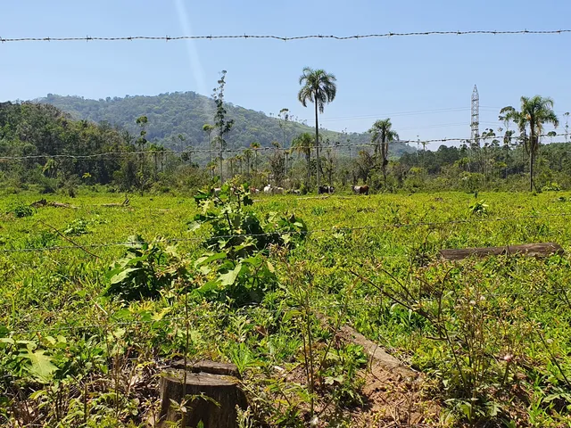 Imagem 3: Terreno Industrial Próximo a Br-101 a Venda em Araquari e Joinville