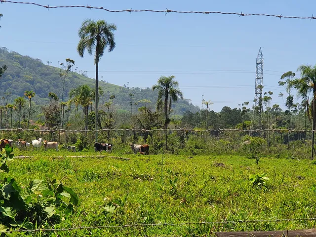 Imagem 4: Terreno Industrial Próximo a Br-101 a Venda em Araquari e Joinville