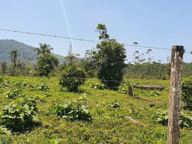 Imagem 5: Terreno Industrial Próximo a Br-101 a Venda em Araquari e Joinville