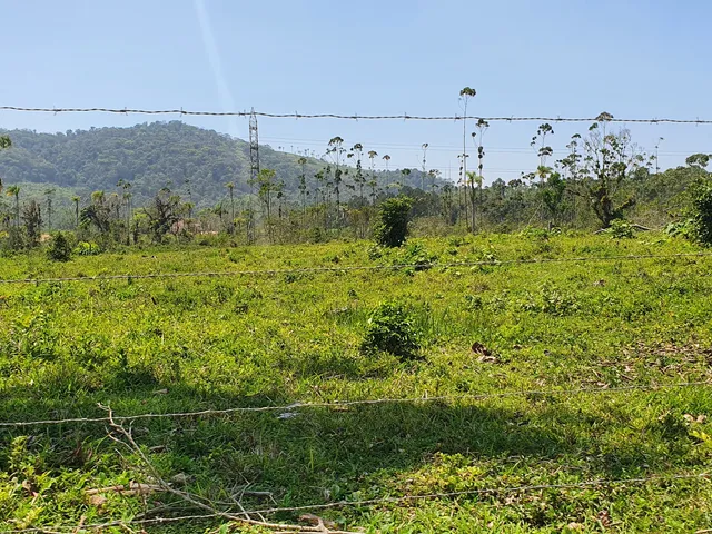 Imagem 6: Terreno Industrial Próximo a Br-101 a Venda em Araquari e Joinville