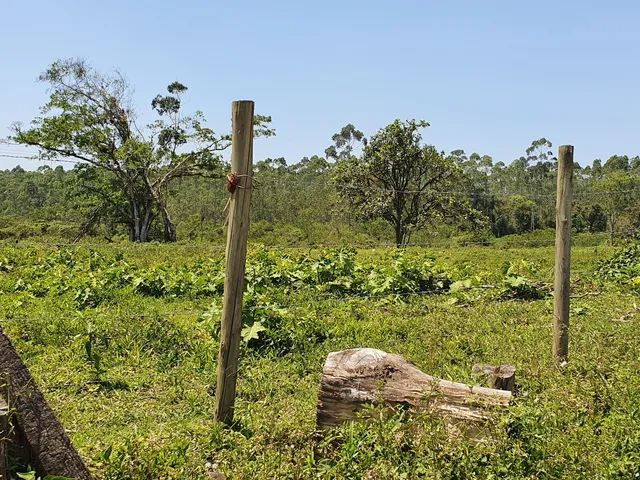 Imagem 8: Terreno Industrial Próximo a Br-101 a Venda em Araquari e Joinville