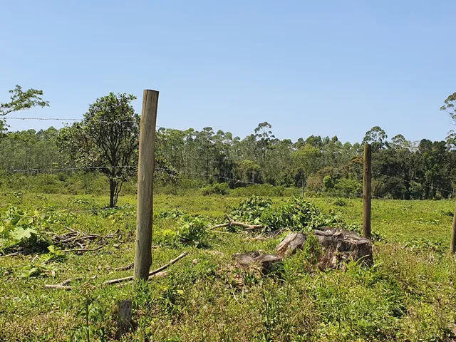 Imagem 9: Terreno Industrial Próximo a Br-101 a Venda em Araquari e Joinville