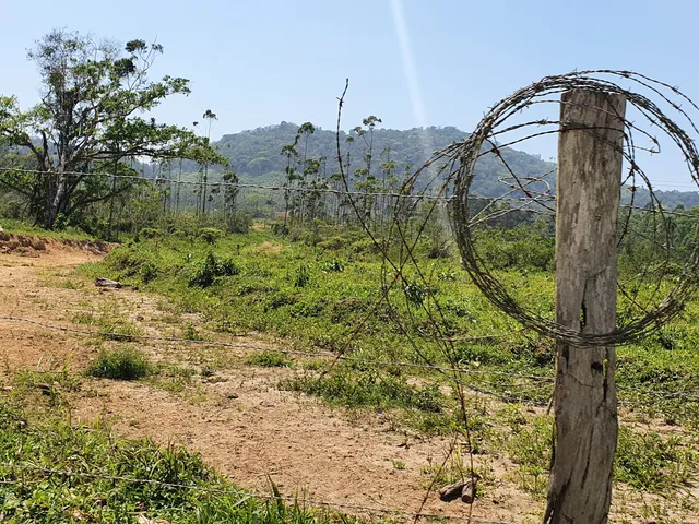 Imagem 11: Terreno Industrial Próximo a Br-101 a Venda em Araquari e Joinville