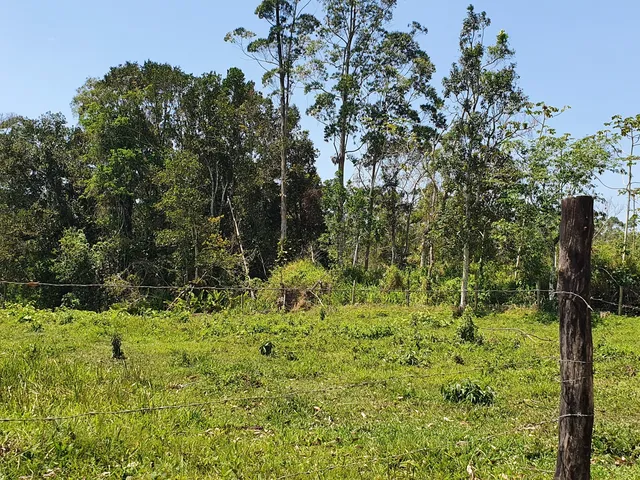 Imagem 13: Terreno Industrial Próximo a Br-101 a Venda em Araquari e Joinville
