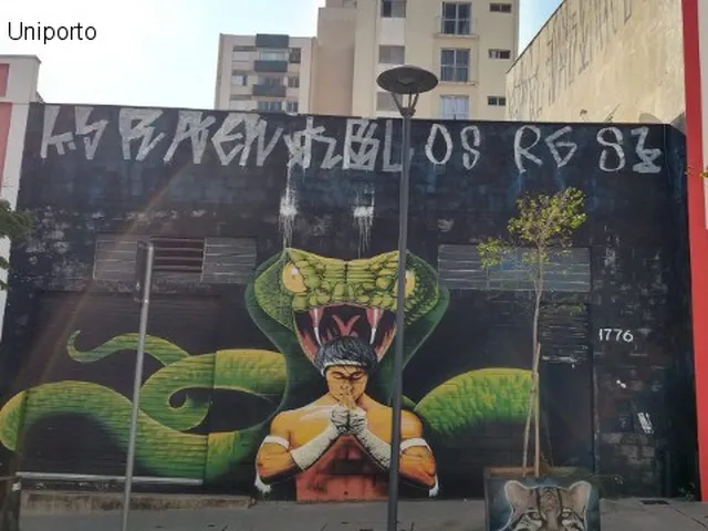 Imagem: BARRACÃO COMERCIAL em CAMPINAS - SP, CENTRO