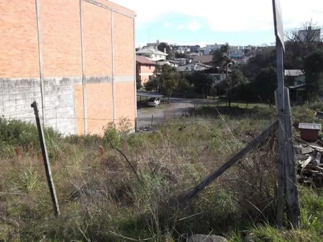 Imagem: Caxias do Sul - Terreno Padrão - São Cristovão