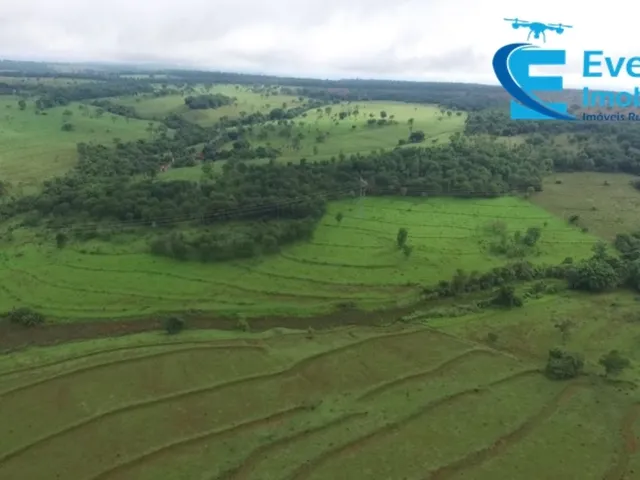 Imagem 2: Fazenda em Uberlândia - Mg com 80,58 Hectares Ou Seja 16,65 Alqueires
