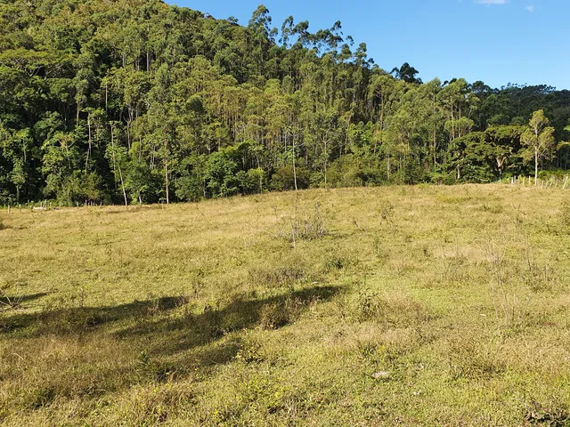 Imagem: Terreno Rural Tijucas com Riacho nos Fundos