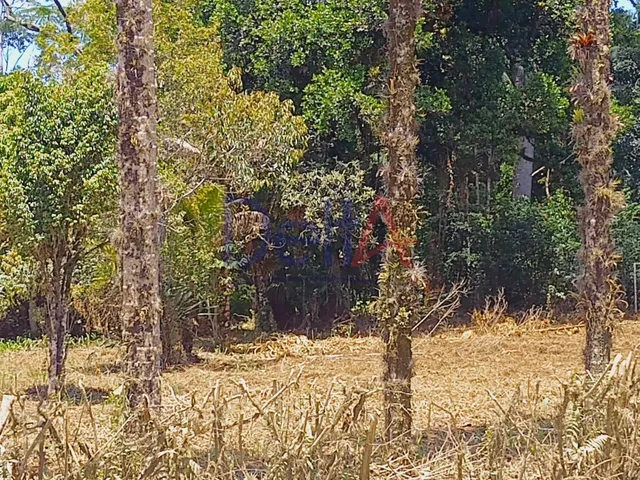 Imagem 3: Terreno em São Francisco do Sul