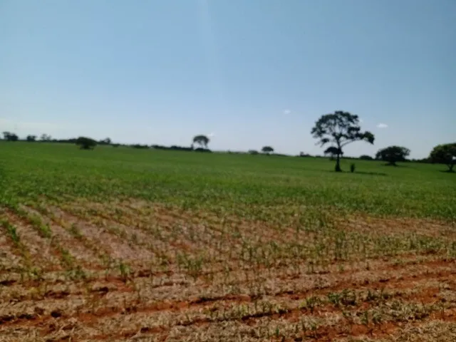Imagem: Terreno 40 Hectares em Martinho Campos
