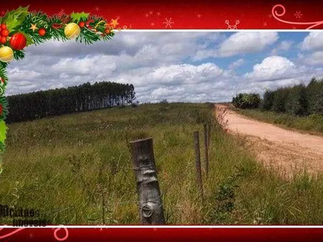 Imagem: Sitio a Venda em Fernão/Sp 12 Hectares
