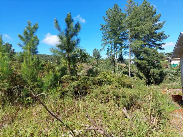 Imagem 3: Terreno com 405 metros Quadrados. Bairro Linha Imperial, Nova Petrópolis RS!