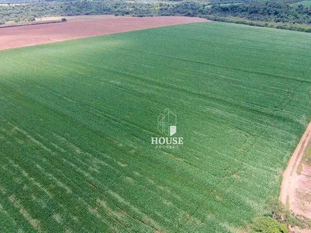 Imagem: Área À Venda, 315000 M² por R$ 3.510.000,00