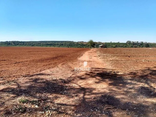 Imagem 3: Área À Venda, 315000 M² por R$ 3.510.000,00 - Zona Rural - Conchal/Sp