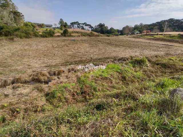 Imagem: Terreno À Venda em Forqueta