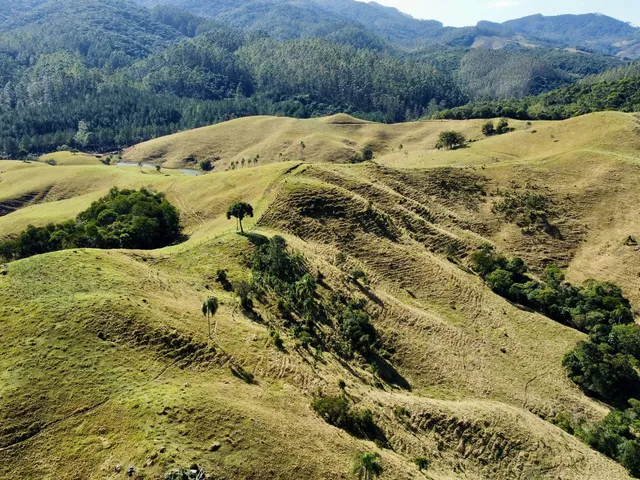 Imagem: Fazenda a Venda em Imarui com Boa Pastagem