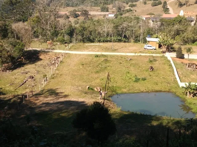 Imagem: SITIO 3 HECTARES NA LOCALIDADE RIBEIRAO