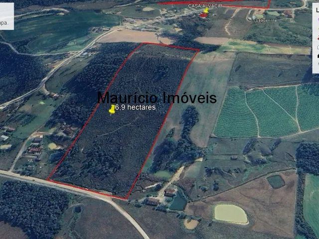 Imagem: Sitio com 6,9 hectares com reflorestamento