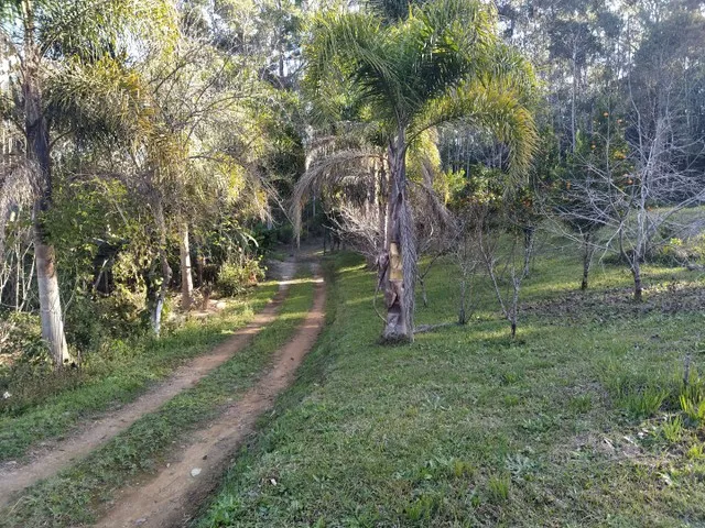 Imagem: Sitio do Silvino
