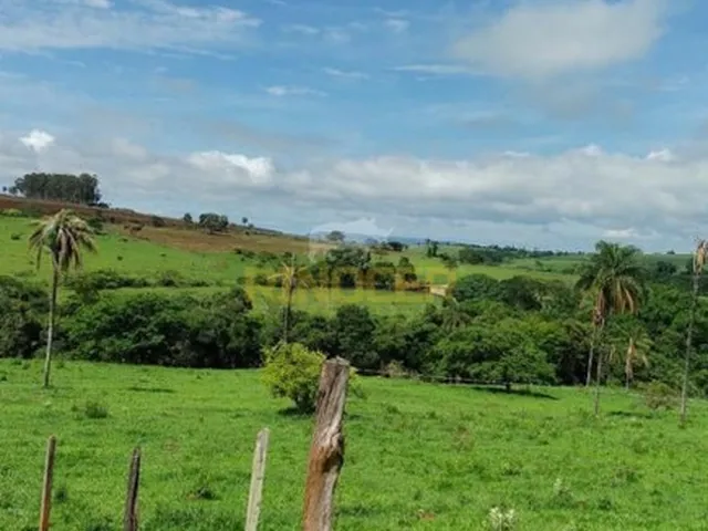 Imagem: Terreno À Venda, Fazenda, Itirapuã, Sp