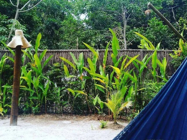 Imagem 3: Casa em Jorge Leite Próximo Á Estrada