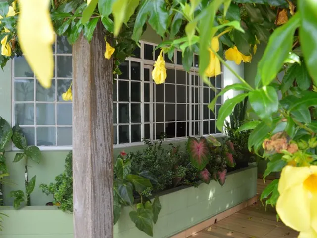 Imagem 2: Casa Térrea a Venda na Zona Oeste de Londrina/Pr - 3 Quartos (1 Suíte) + Edícula Nos