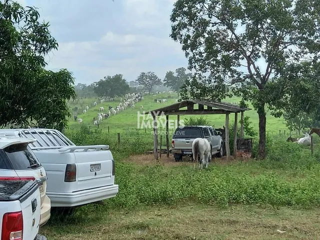 Imagem: Fazenda À Venda, Rural, Figueirão, Ms