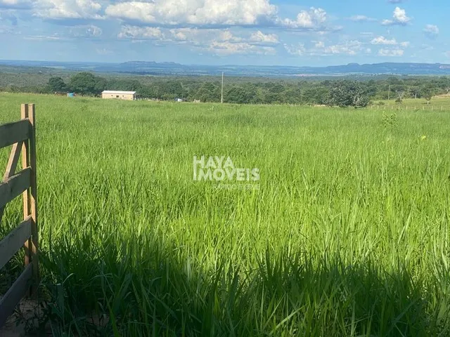 Imagem: Fazenda À Venda, Rural, Rio Verde de Mato