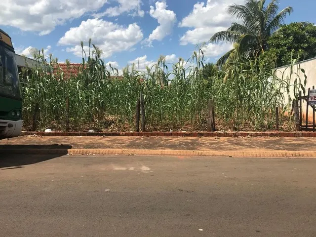 Imagem: Terreno para Alugar, 264 M² por R$ 125.000,00/Mês