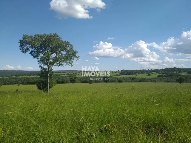 Imagem: Fazenda À Venda, Rural, Rio Negro, Ms