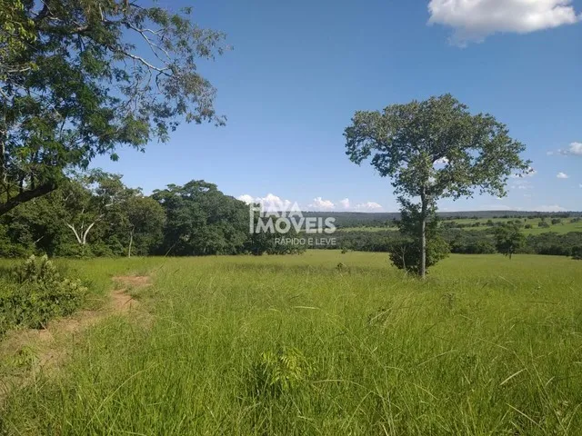Imagem 2: Fazenda À Venda, Rural, Rio Negro, Ms