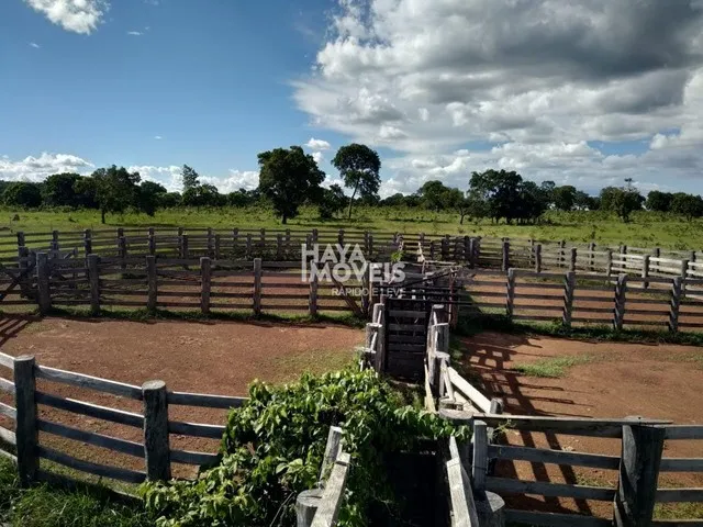Imagem 3: Fazenda À Venda, Rural, Rio Negro, Ms