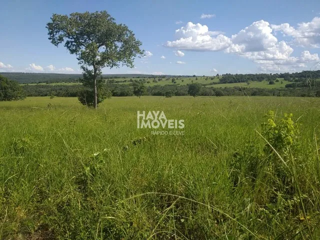 Imagem 6: Fazenda À Venda, Rural, Rio Negro, Ms