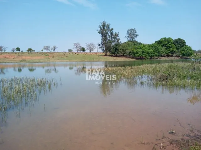Imagem 2: Fazenda À Venda, Rural, Aparecida do Taboado, Ms