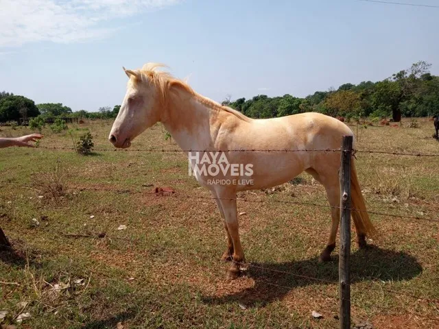 Imagem 5: Fazenda À Venda, Rural, Aparecida do Taboado, Ms